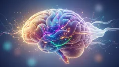 Forskare har upptäckt fem "åldrar" i den mänskliga hjärnan: den förändras inte smidigt, utan med stormsteg